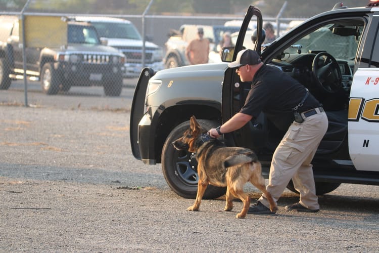 Orland Police Department remembers K-9 Dutch, a dedicated partner and protector