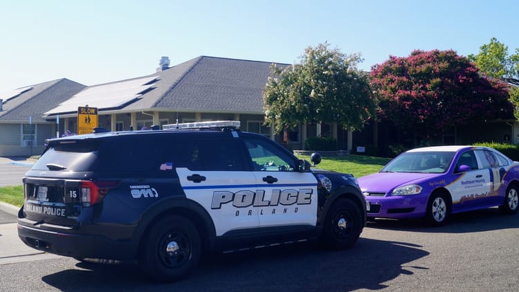 Felonies, fire, and a purple Honda: The week in Orland police reports, July 21–27, 2025