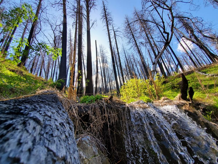Glenn County calls for action on wildfire threat, endorses Fix Our Forests Act