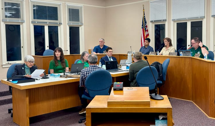 Meeting Notes: Budget concerns surface, Romano’s residency questioned, and districting debate continues