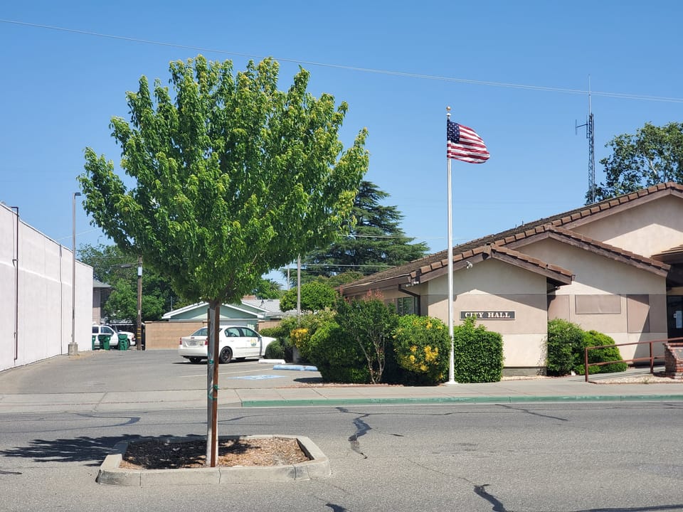 Meeting Prep, Jan. 6: Council weighs new tree rules as city races to save water funding