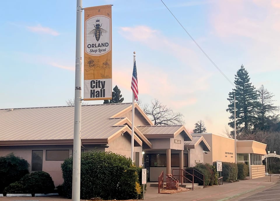 Can individual council members direct staff? Here's what the rules say